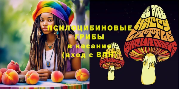 экстази Алексин
