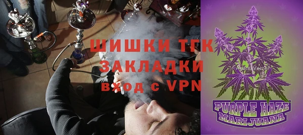 тгк Абаза